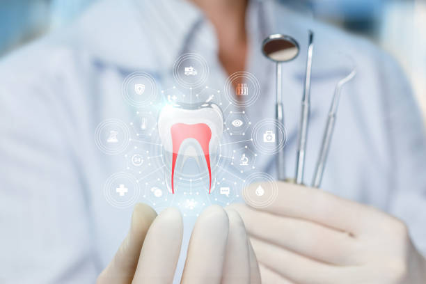 Best Traditional Braces  in Langley, WA